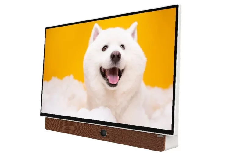 Google Tivi Xách Tay Di Động Full HD Coocaa 24 Inch 24LP6000G (Tay Cầm Da) - Image 2